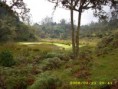 /album/fotogaleria/lagunas-de-gacheta4-jpg/